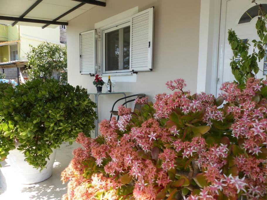 Michaels Flower House Kanálion Dış mekan fotoğraf